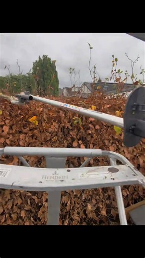 3.7K views · 28 reactions | I trim hedges at eye level so I can see the height I'm trimming at, I use long trimmers so I can see both ends off the hedge #gardentok #gardentip #gardenlife #treesurgeon | Kieron Calderbank | Facebook