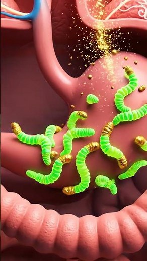 Jujube: The Ultimate Superfruit for Gut Health & Energy! (Animated Explanation)