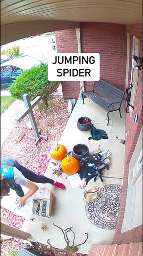 Happy Halloween prank | Jason the Great