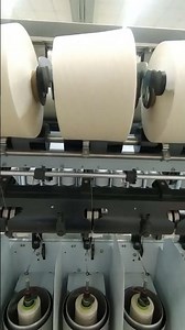 Traversing Motion of Two For One (Twisting machine)