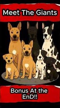 TheAPOLLO of Dogs! 🚀 Great Dane:What Life is Like w/ a Dog the Size of a Horse #shortsviral #shorts