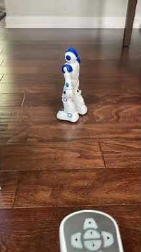 KingsDragon RC Robot Toys for Kids, Gesture & Sensing Remote Control Robot for Age 3 4 5 6 7 8 Year