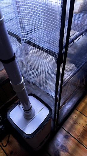 27K views · 944 reactions | Another cool mushroom info reel. I love learning about the different types and attributes of fungi, and they have been really fun to grow too. | Greenhorn Grove | Facebook