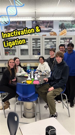 Understanding DNA Inactivation and Ligation in the Lab