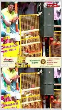 அவனியாபுரம் ஜல்லிக்கட்டு | சீறி வரும் காளை | Avaniyapuram Jallikattu