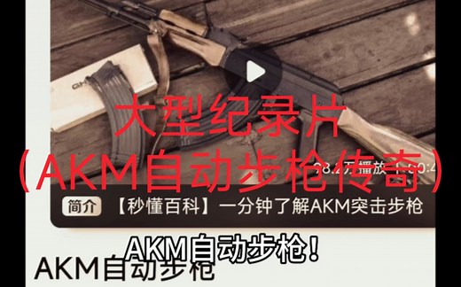 大型纪录片：AKM自动步枪传奇