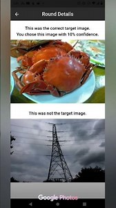 Remote viewing files