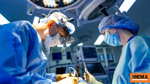 Δωρεά οργάνων – Μεταμοσχεύσεις: Επιστρέφει το πρόγραμμα Organmeetings από το Ίδρυμα Ωνάση