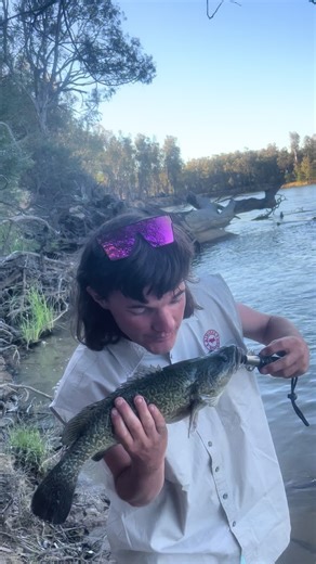 Catch Murray Cod: Your Ultimate Freshwater Fishing Guide