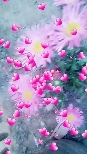 rafiya rafi ❤️❤️ (@rafiya_70)’s videos with original sound - AmilyHamily