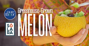 Pure Flavor® Launches Commercial Greenhouse Grown Melon, Solara™; Jamie Moracci, Matt Mastronardi, and Chris Veillon Discuss
