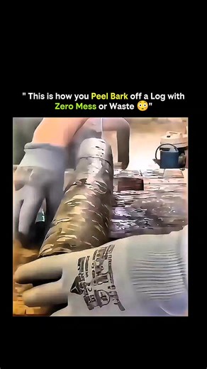 BANK OF KNOWLEDGE on Instagram: "🌲 How Bark Is Peeled Off a Log With Zero Mess or Waste 🌲 Modern woodworking and lumber industries use specialized tools to remove bark cleanly, efficiently, and without creating piles of waste. Here’s how the process works: 1️⃣ Log Debarking Machine: The log is fed into a rotating debarker designed to strip bark in one smooth motion. 2️⃣ Controlled Pressure: Rollers apply just enough force to loosen bark without damaging the wood underneath. 3️⃣ Precise Blade A