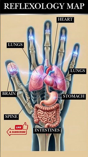 Your Hands Can Help Relax Your Whole Body (Reflexology Map) #reflexology #healthtips #natural