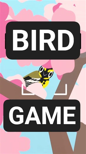 how we make a bird for our game