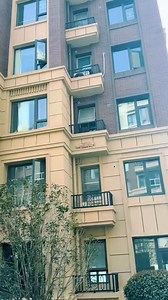 166K views · 616 reactions | How did this cat climb up? | FactPulse | Facebook