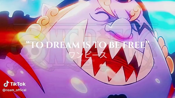 Celebrate One Piece with This Epic Melody Edit