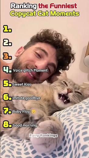 Ranking the Funniest Copycat Cat Moments 😹🐾