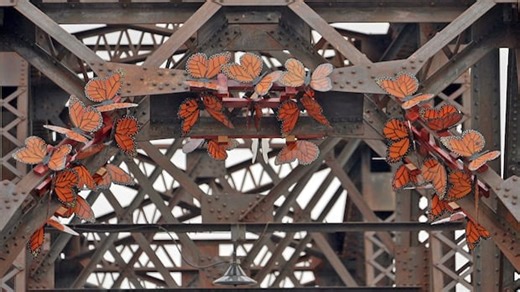 Monarch butterflies on Fredericton bridge created to send environmental message