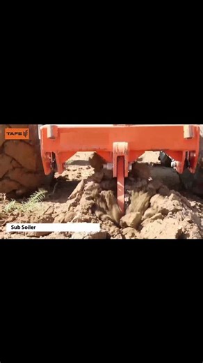 🎥 Catch our mighty TAFE TRACTOR in action, coupled with a robust subsoiler implement! Witness how this power duo effortlessly tackles tough terrain and enhances soil health. Perfect partners for a productive farming experience. 🚜 #TAFE #TAFETRACTORS #TheBigOrangeTractor #CultivatingTheWorld #Tractor #Farm #Farming #InternationalTractor #Globaltractor #SubsoilPower | TAFE Tractors