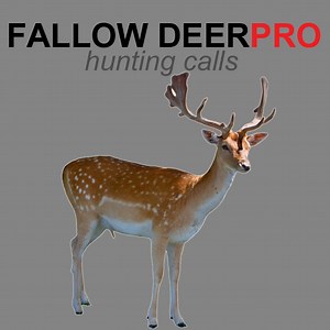 Fallow Deer Calls for Hunting