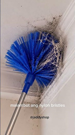 Clean High Ceilings Easily! 🧹✨ Nylon Bristle Extendable Duster | Home Cleaning Essential
