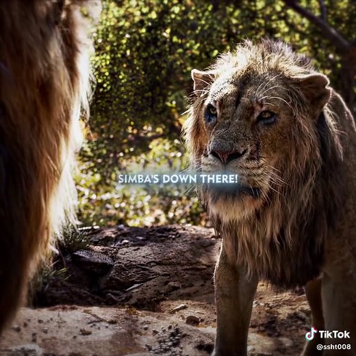 Taka, Mufasa and Simba: The Gorge Rescue Scene