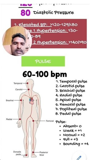 normal pulse and types of pulse/nursing/science