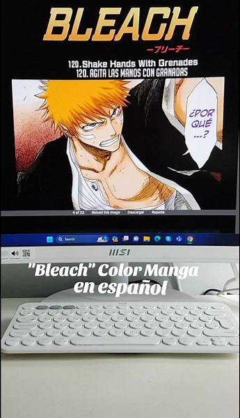 Manga a Color de Bleach en Español