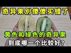 Kiwifruit: Don’t Buy Wrong! Yellow vs Green—Sweetness Trick, Must Know