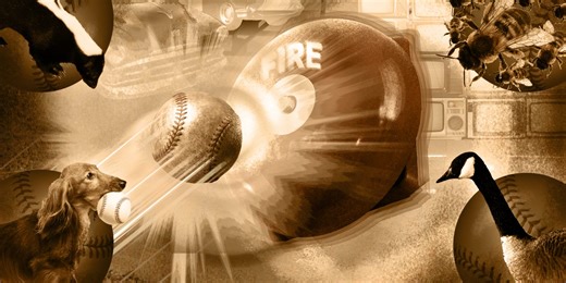 Here are a few of the strangest delays in Minor League history