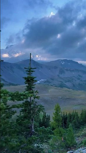 Hiking 🥾 in mount Rainier National Park #nature #sceniclandscapes #travel