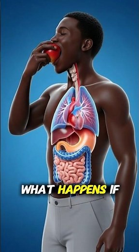 Apples: Nutritional Facts & Physiological Effects 🍎 | 3D Anatomy Visualization #foodscience