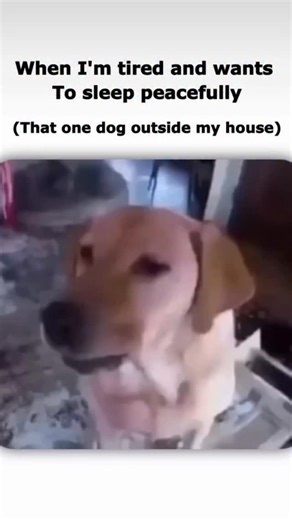 Suyash Deore on Instagram: "Relatable 😂.Sting (1946) is a Warner Bros. Merrie Melodies cartoon directed by Friz Freleng, featuring a mosquito army's military-style training and attack on a hapless man protected by screens, filled with wartime parody, excellent sound effects, and animation depicting mosquitoes using sardine cans as carriers against enemy swatters and insecticide, all leading to a comical, misdirected mission. A battalion of mosquitoes undergoes rigorous training, learning to com