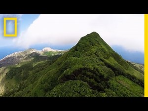 Once, This Island Had Just One Tree—Look at It Now | National Geographic
