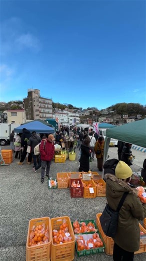 なぶら市 #移住観光旅行熱海伊東湯河原真鶴🌴
