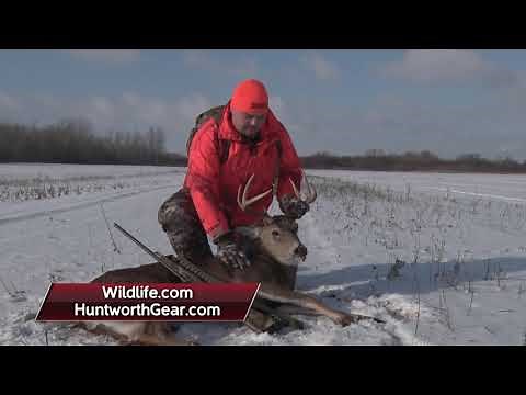 Rifle Deer hunt in Northern MN
