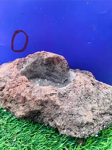 Natural Lava Rock Planter: Succulent & Air Plant Pot - Etsy