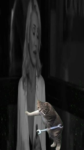 Epic Showdown Who Wins Shorts