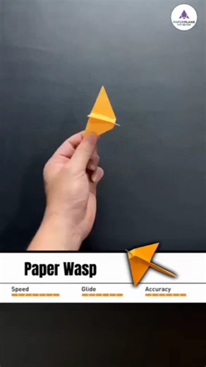 Paper Wasp 🐝Origami banned in schools in the United States🇱🇷