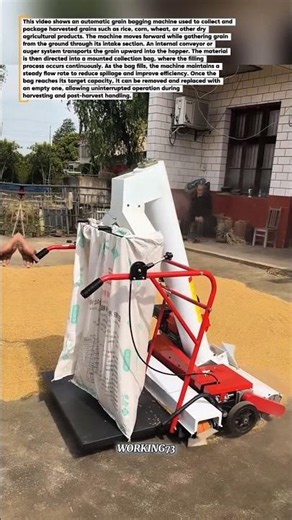 Automatic Grain Bagging Machine