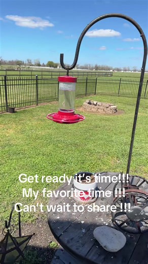 Wendy (@wendy.worthington48)’s videos with original sound - Ruby Gomez💞