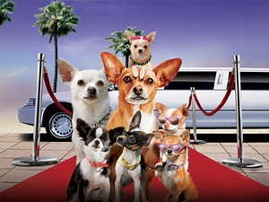 Beverly Hills Chihuahua 2 - Apple TV