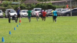 The development and execution of the JAVA Games earlier this year,...