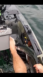 Bonito chomps down on my foot, be careful this fall! #fishing #fail #funny #bonito #tuna #fall | Fish RI