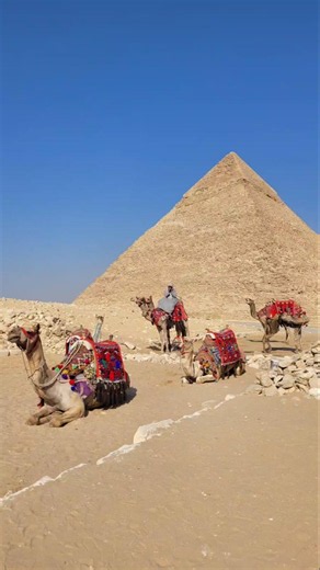 Top 50 Oldest Countries in the World 🌍📜 How many of these countries have you visited? #ranking #data
