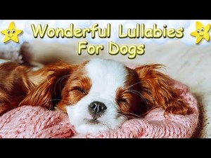 Relaxing Music For Dogs And Puppies ♫ Calm Your Dog Effectively In No Time