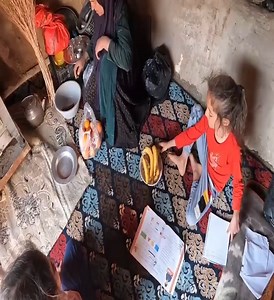 Miraculous Spring- The delightful journey of grandmother and two orphans to find edible plants | Lifes Nature