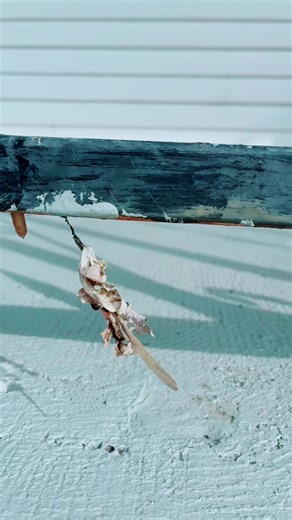 California: Nostalgia in Joni Mitchell's Blue