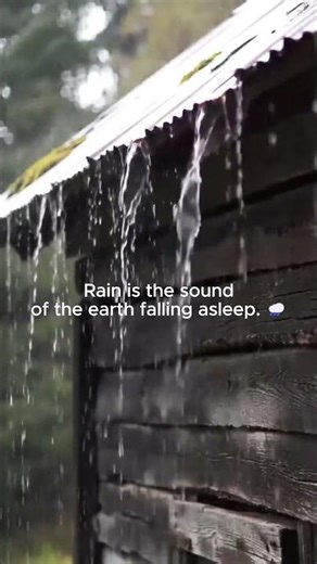 Can You Sleep to Heavy Rain on a Tin Roof? 🌧️ #rain #deepsleep #shorts