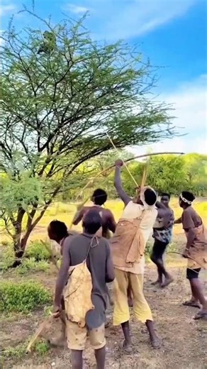 How African Tribes Hunt with Bow & Arrow | Real Bush Skills.#shortvideo